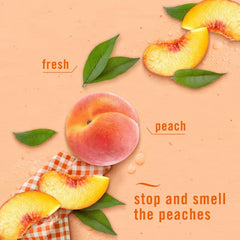 Febreze Odor-Fighting Plug Air Freshener Dual Refill Juicy Summer Peaches - 2ct: Oil, Electric, Air Freshener Refills