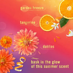 Febreze Bathroom Air Freshener Summer Golder Hour: Oil, Non-Powered