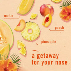 Febreze Bathroom Hawaiian Air Fresheners Aloha - 2ct: Oil, Non-Powered