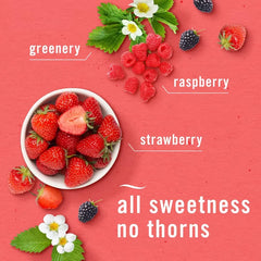 Febreze Berry & Bramble Bathroom Air Freshener - 3ct: Disposable, Dye-Free, Phthalate-Free, Oil Form